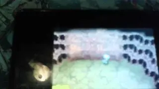 Pokemon Oras regirock