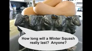 How  long will a Winter Squash really Last?