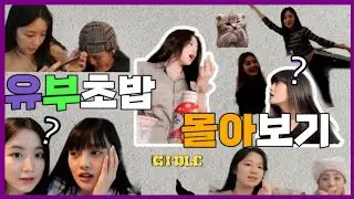 [몰아보기] 유부초밥 역사