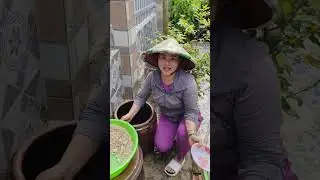 Chia sẻ từng công thức làm nước mắm cá linh ❤️