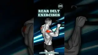 Rear Delt Exercises