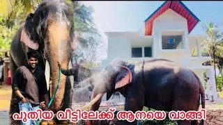 പുതിയ വീട്ടിലേക്ക് ആനയെ വാങ്ങി ​⁠@noufalftkd2822
