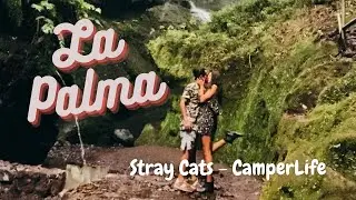 Vita in camper full time #21 BEST di LA PALMA, Isole Canarie in camper! -Stray Cats