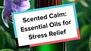 Scented Calm: Essential Oils for Stress Relief