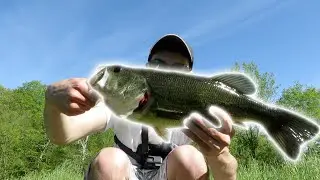 Big Bass Broke My Rod
