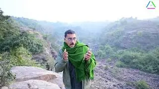 Green Star Please Follow