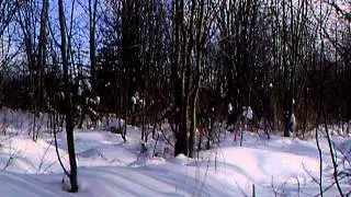 Timmins Murphy Road Bobcat