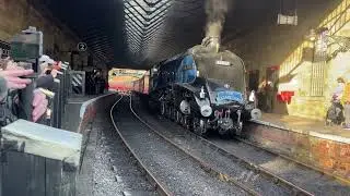 Sir Nigel Gresley steemengin #steemengine