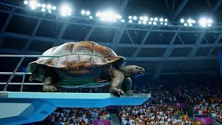 Which Animal Wins the Gold Medal? | Which Animal Dives BEST?!