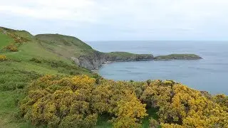 Llangrannog & Ynys Lochtyn Coastal Walk Scenery - Ceredigion Walks - Tour Wales Walking Holidays UK