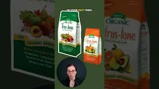 Do Fruit Trees Really Need Fertilizer?