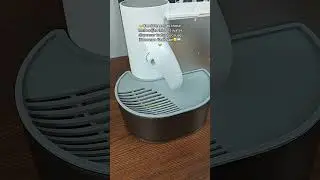 Smart Pet Fountain: No Filter Needed! Auto Water Change for Cats & Dogs
