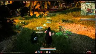 BlackDesert AU Ping with WTFast
