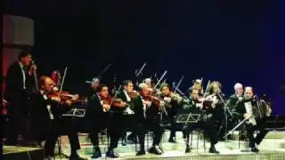Milan Ilic violinista-Arapsko kokonjeste