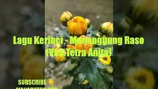 Lagu Kerinci - Munanggung Raso (voc.Tetra Anita)