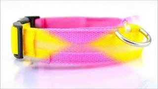 LED Cat Size Glow Safety Collars - BOGO Free