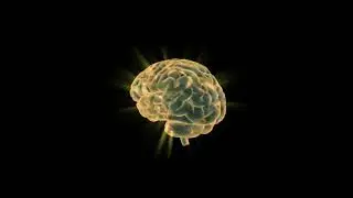 brain skills development power increase brain power active music