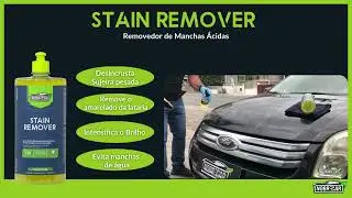 TINTAS CADILLAC | STAIN REMOVER REMOVEDOR DE MANCHAS &Aacute;CIDAS NOBRECAR