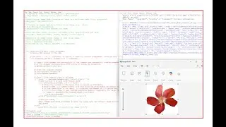 Downloading and Opening Images from Internet Using Python (requests and pillow Libraries)