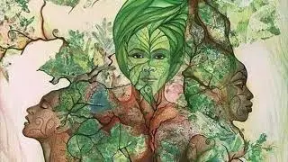 Восстановите своё Древо Жизни (Элементарный Инь)