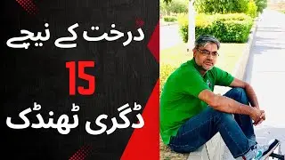 15&deg;C Cooler Under a Tree in Islamabad | Why Trees Are Vital in Heatwaves