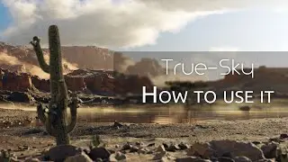 Использование True-Sky