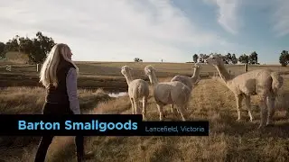 Barton Smallgoods - [Digital Solutions program - Business Feature]