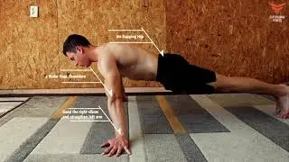 Archer Pushup, How to and Benefit