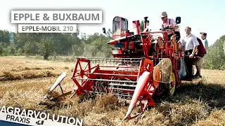 Epple & Buxbum Epple-Mobil 210 &bull; Wheat harvest | Agrarvolution Praxis