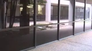 Run