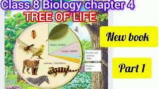 Class 8 Biology chapter 4 Tree of life