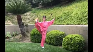 八式太極拳(正, 背面) - Tai Chi 8 Form (F & B Views)