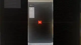 Single 15-inch stage speaker