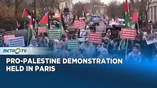 Massive Paris Protest Shows Solidarity with Gaza and Hunger Striking Activists