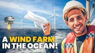 Nas Daily Visits London Array - One of the World&rsquo;s Largest Offshore Wind Farms