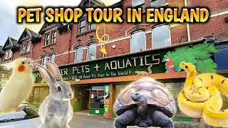 Pet Shop Tour In England | Vlog
