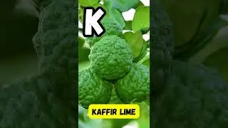 ABC Fruit Song | A to Z Fruits for Kids | Fun & Healthy Alphabet Song for Preschoolers #abcd #shorts