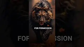 Lion attitude status~🔥😎| Motivational quotes| Sigma rule 😈 #shorts #viral #sigma