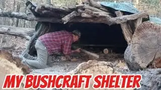 Bushcraft shelter revisited. Added a fire reflector wall. Cooked steak in Cowboy skillet on camp 🔥