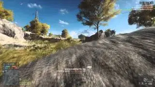 BF4 sculata