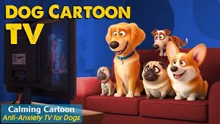 Anti-Anxiety Cartoon for Dogs: Perfect for Hyperactive Dogs! Dog Cartoon + Music for Bored Dogs