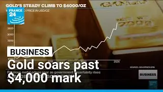 Gold reaches record highs and threatens supremacy of US dollar &bull; FRANCE 24 English
