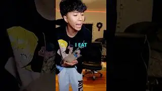 Ray Instantly Got Disappointed After Introducing His New Cat 💀😭