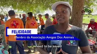 Welcome to Associa&ccedil;&atilde;o Amigos dos Animais * saving the world one paw at a time 🐾