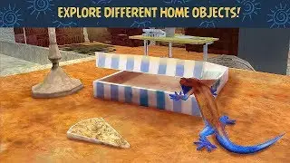 Gecko Simulator 3D - Android Gameplay