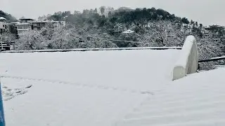 Mussoorie snowfall ❄️ #snowfall #uttarakhandtourism #tourism #snowview #travelViralvideo  