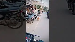 #raid #ninja #ktm #r15 #motovlog #moto #kawasaki #duck #vairalshort #shorts #short #raiders #funnym