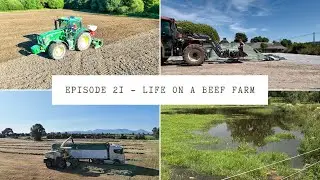 Episode 21 - Stripping the pit, silage with artics, reseeding & rain problems ☔️🚚🌱