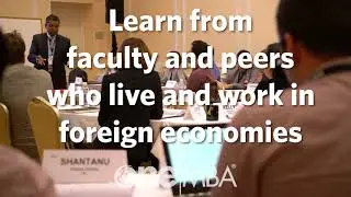 Global OneMBA - Lead Globally (30 sec)