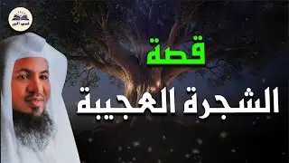 قصة الشجرة العجيبة… أحداث غامضة وعبرة مذهلة - الشيخ محمد الشنقيطي